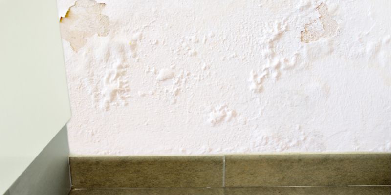 Como Detectar Vazamento de Água Dentro da Parede em Duque de Caxias: Confira 5 Dicas vazamaneto de água dentro da parede